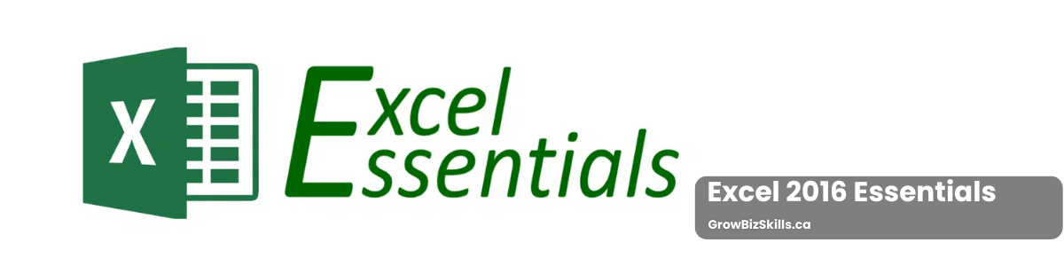 Excel 2016 Essentials